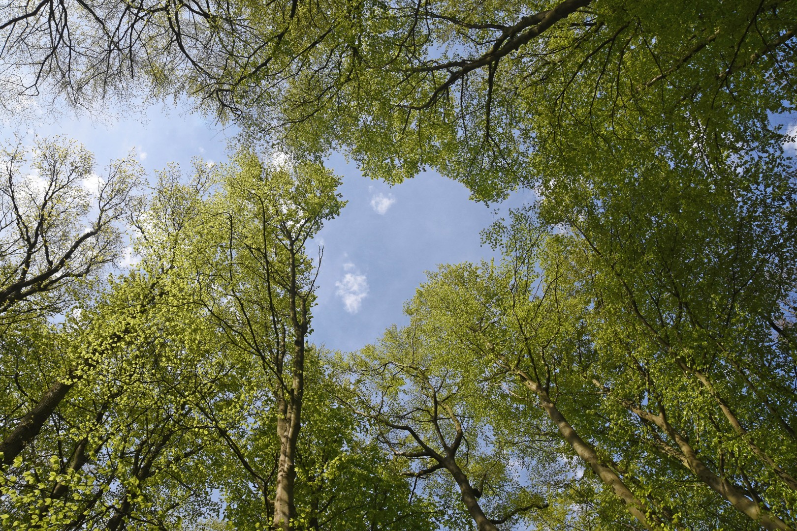 Naturlandschaft Psychotherapie